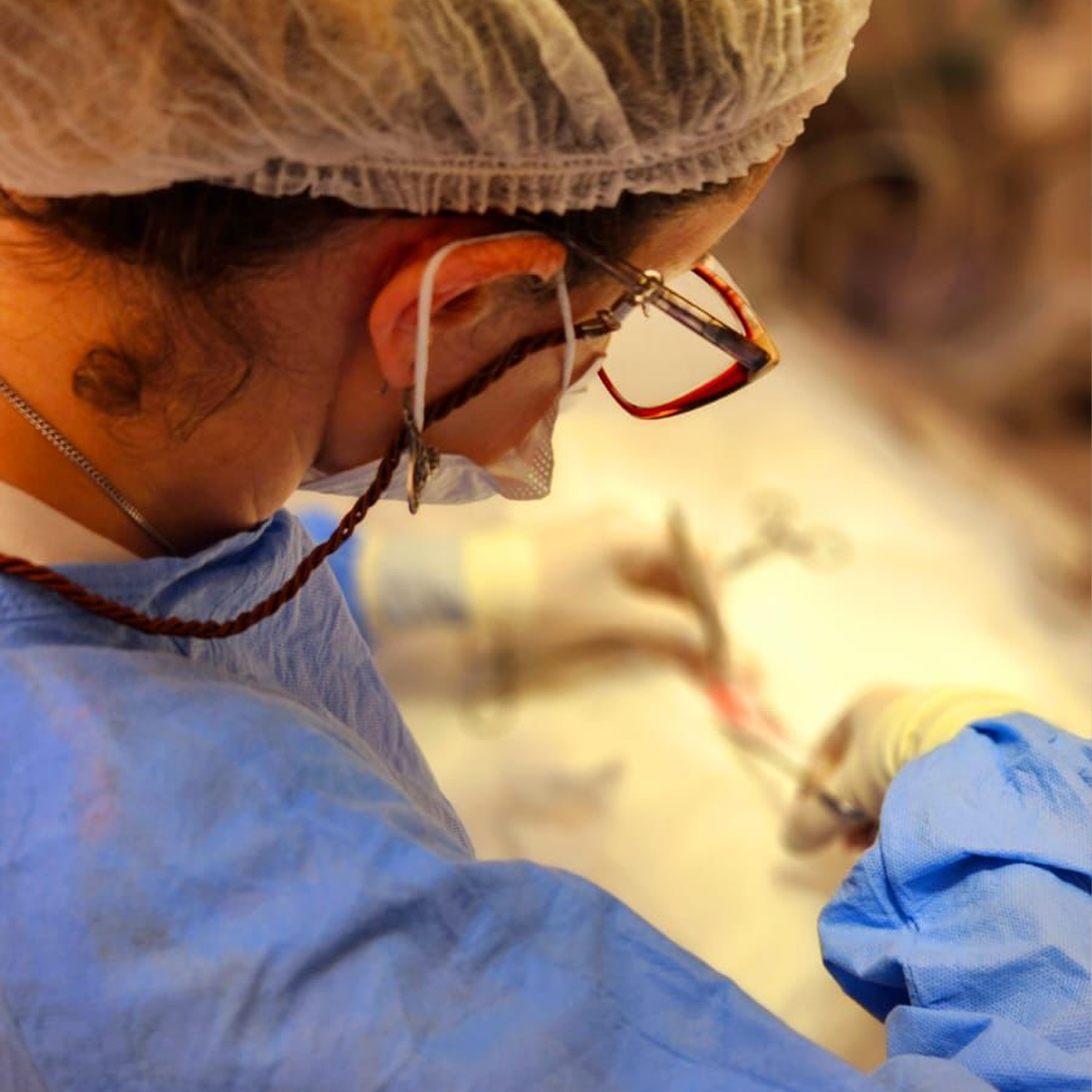 Recepção da Clínica