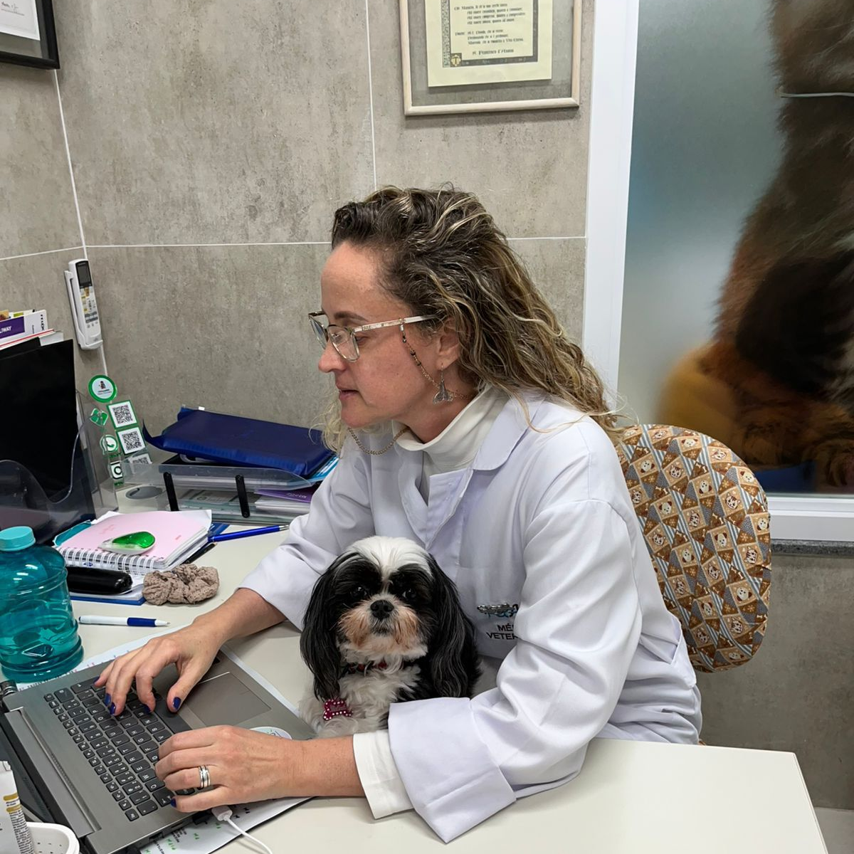 Recepção da Clínica